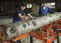 Возможности оборудования Wood-Mizer позволяют внедряться на рынок деревянных конструкций для строительства домов  