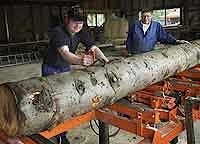 Возможности оборудования Wood-Mizer позволяют внедряться на рынок деревянных конструкций для строительства домов  