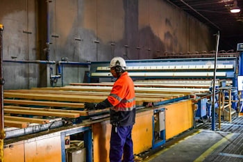 Timberlink наращивает инвестиции в производство древесины  