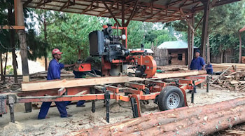 LonAgro и Wood-Mizer подтверждают стратегическое партнерство