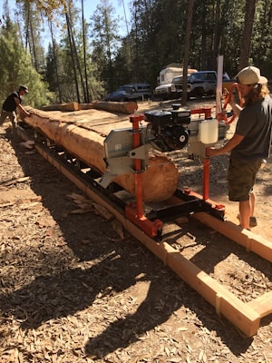 Использование оборудования Wood-Mizer и Timbery в проектах реставрации  