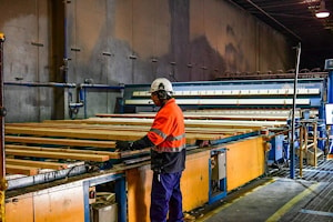 Timberlink наращивает инвестиции в производство древесины  