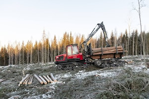 Шведская лесная промышленность запускает устойчивую лесозаготовительную машину  