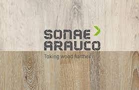 Sonae Arauco запускает решения по дереву для экологичного строительства  