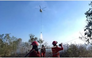 Индонезия при поддержке ITTO запускает новое приложение для обнаружения лесных пожаров  