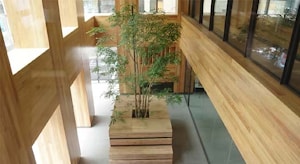Деревянные строительные конструкции заменяют стальные в Японии  