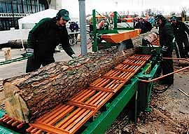 Деревообрабатывающее оборудование Силмет: деньги не в лесу, а в цеху  