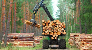 Global Timber Index вводит новый индекс для древесных панелей  