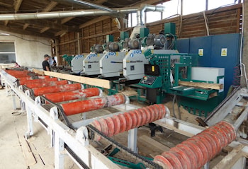 Раскройная техника Wood-Mizer как основа успешного паллетного производства  