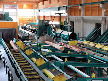 Holzwerk Baumann запускает современную биржу круглого леса  