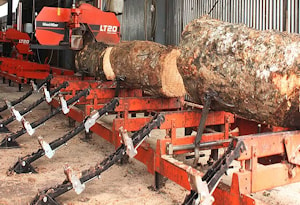 Оборудование Wood-Mizer в Либерии способствует возрождению национальной экономики  